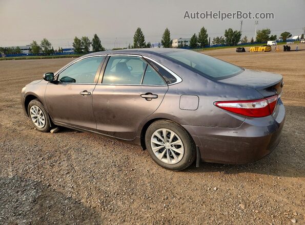 4T1BF1FK2GU241191 2016 TOYOTA CAMRY Gray Tył lewy