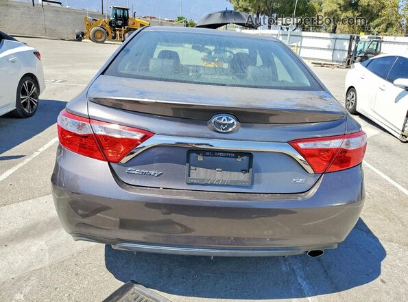 4T1BF1FK2HU673359 2017 TOYOTA CAMRY Gray Вид ззаду