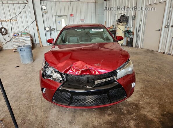 4T1BF1FK4HU703901 2017 TOYOTA CAMRY Red Widok z przodu