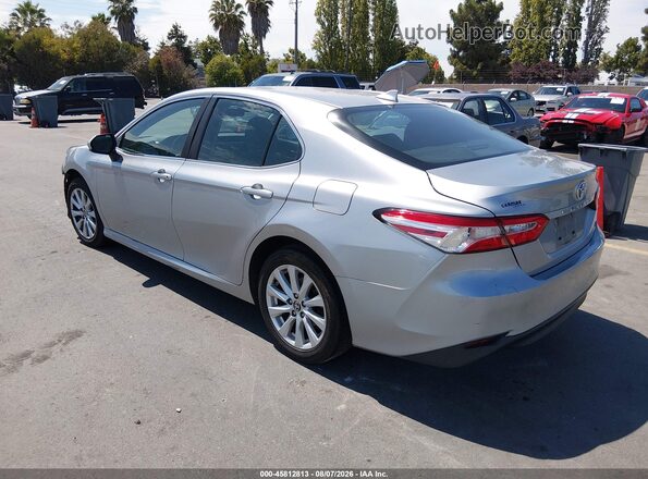 4T1C11AK2LU980453 2020 TOYOTA CAMRY Gray Tył lewy