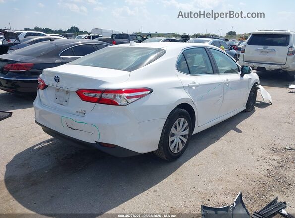 4T1C31AK0LU539799 2020 TOYOTA CAMRY White Tył prawy