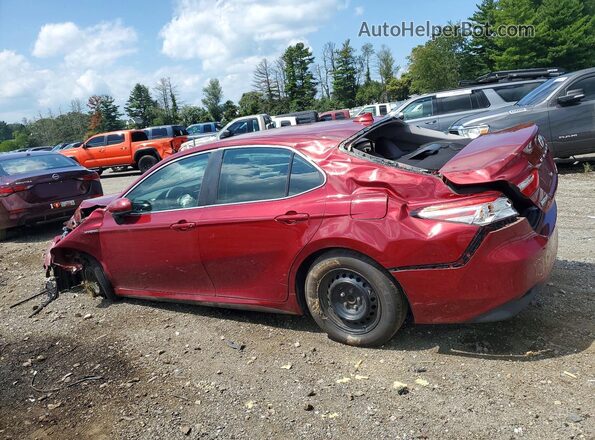 4T1C31AK4LU526053 2020 TOYOTA CAMRY Red Հետևի ձախ