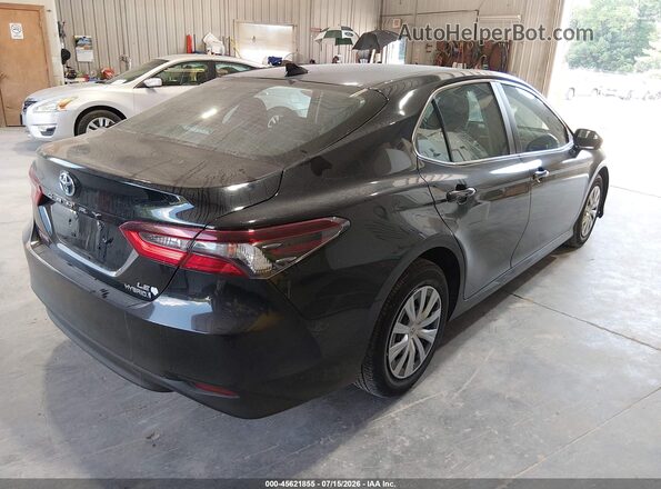 4T1C31AK6PU052175 2023 TOYOTA CAMRY Gray Tył prawy
