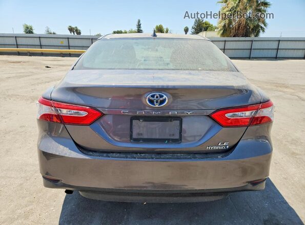 4T1C31AK7LU545454 2020 TOYOTA CAMRY Gray უკანა ხედი