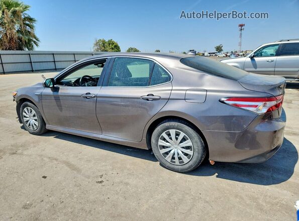 4T1C31AK7LU545454 2020 TOYOTA CAMRY Gray უკანა მარცხენა