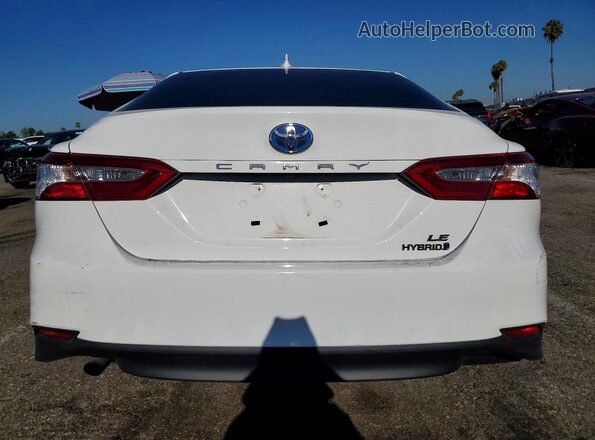 4T1C31AK8LU538593 2020 TOYOTA CAMRY Белый Вид сзади