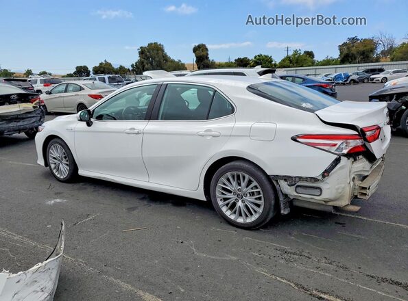 4T1C31AK9LU011162 2020 TOYOTA CAMRY Белый Задняя левая четверть
