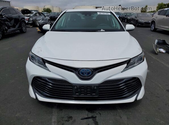 4T1C31AK9LU011162 2020 TOYOTA CAMRY Белый Вид спереди