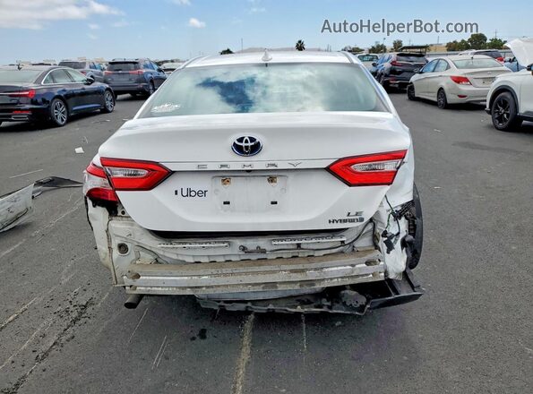 4T1C31AK9LU011162 2020 TOYOTA CAMRY Белый Вид сзади