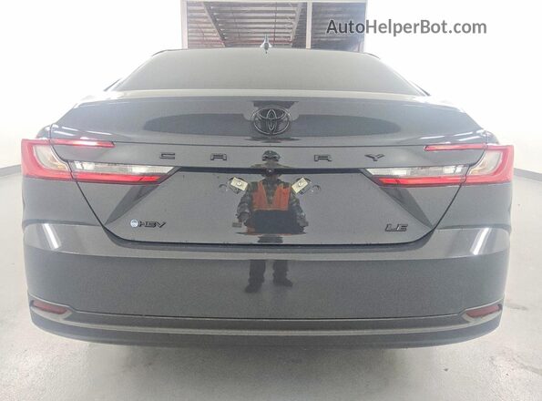 4T1DAACK4SU599784 2025 TOYOTA CAMRY Gray Rear view