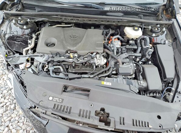 4T1DAACK9SU008431 2025 TOYOTA CAMRY Черный Вид задней части салона