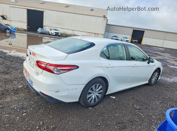 4T1E31AK7LU521406 2020 TOYOTA CAMRY White უკანა მარჯვენა