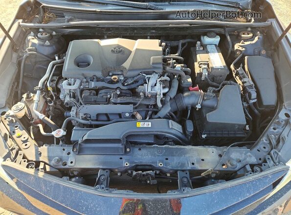 4T1F11AK6LU312474 2020 TOYOTA CAMRY Black Vista interior trasera