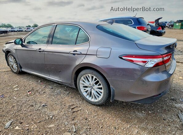 4T1F11AK8LU883304 2020 TOYOTA CAMRY Gray Trasero izquierdo