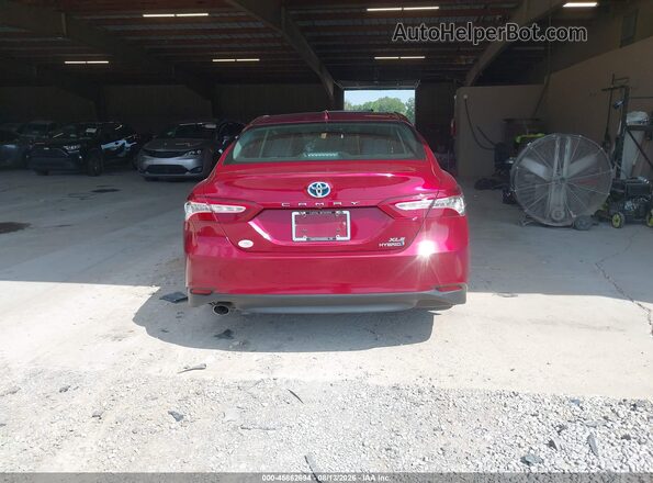 4T1F31AK0LU543445 2020 TOYOTA CAMRY Maroon 
