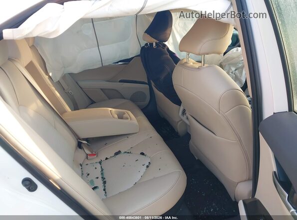 4T1F31AK4LU524848 2020 TOYOTA CAMRY White Вид наклейки з VIN-кодом