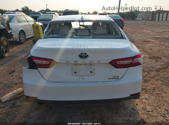 4T1F31AK4LU524848 2020 TOYOTA CAMRY White 