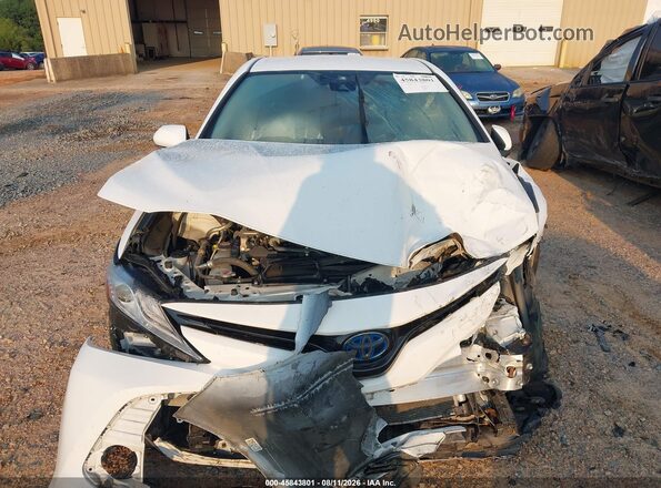 4T1F31AK4LU524848 2020 TOYOTA CAMRY White Вид щитка приладів