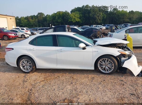 4T1F31AK4LU524848 2020 TOYOTA CAMRY White Вид задньої частини салону