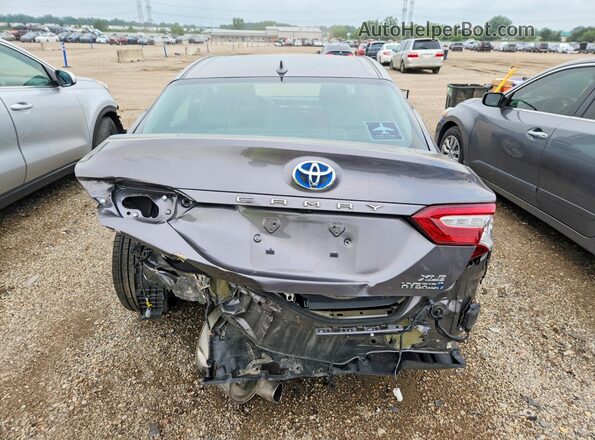 4T1F31AK6LU012220 2020 TOYOTA CAMRY Gray Vista trasera