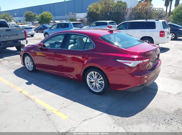 4T1F31AK6LU012525 2020 TOYOTA CAMRY Red Задня ліва чверть