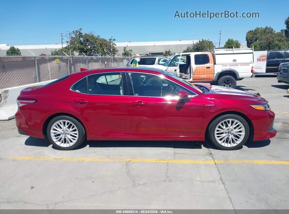4T1F31AK6LU012525 2020 TOYOTA CAMRY Red Вид задньої частини салону
