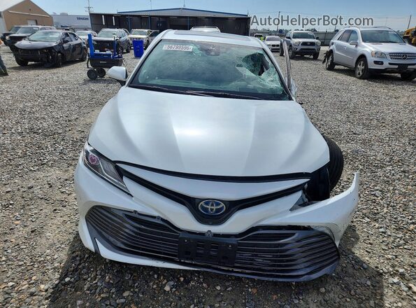 4T1F31AK8LU016897 2020 TOYOTA CAMRY White Widok z przodu