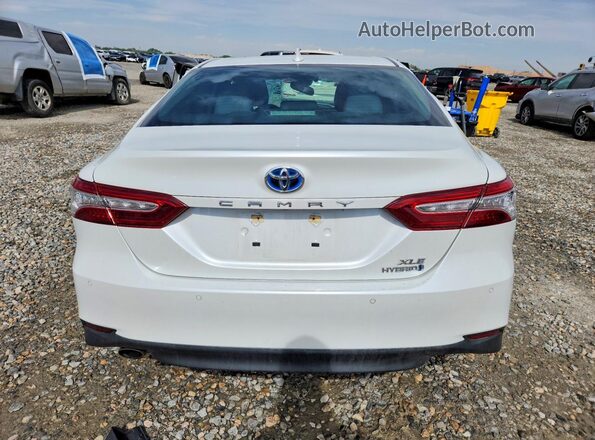 4T1F31AK8LU016897 2020 TOYOTA CAMRY White Widok z tyłu