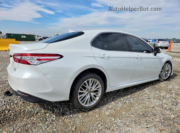 4T1F31AK8LU016897 2020 TOYOTA CAMRY White Tył prawy