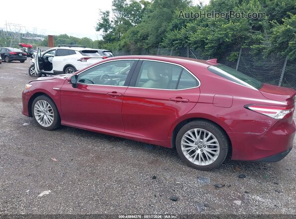4T1F31AK8LU017242 2020 TOYOTA CAMRY Red Задня ліва чверть