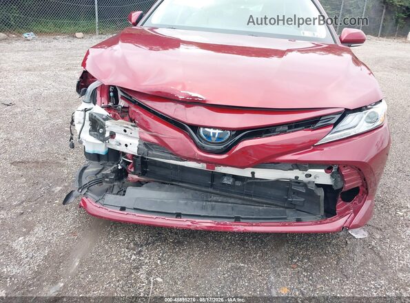 4T1F31AK8LU017242 2020 TOYOTA CAMRY Red Вид спереду