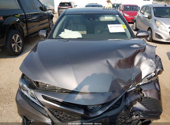 4T1G31AK8LU012238 2020 TOYOTA CAMRY Серый Вид сзади