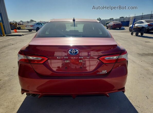 4T1G31AK9LU019490 2020 TOYOTA CAMRY Красный Вид сзади