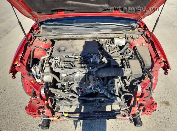 4T1G31AK9LU019490 2020 TOYOTA CAMRY Красный Вид задней части салона