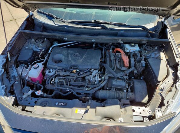 4T3B6RFV4MU040288 2021 TOYOTA RAV4 Gray Вид задньої частини салону