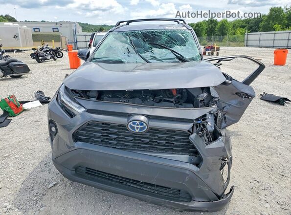 4T3B6RFV4RU156467 2024 TOYOTA RAV4 Серый Вид спереди