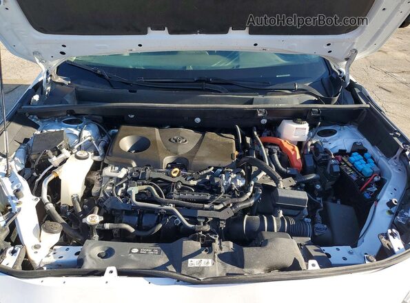 4T3B6RFV9PU135806 2023 TOYOTA RAV4 White 