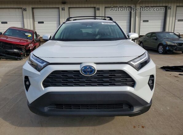 4T3B6RFV9RU162099 2024 TOYOTA RAV4 White Vista frontal