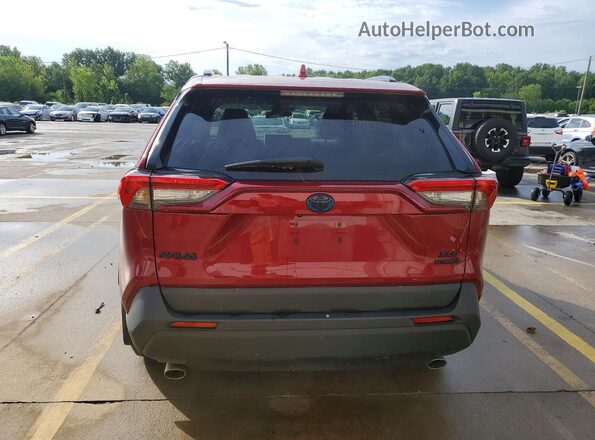 4T3B6RFVXPU114477 2023 TOYOTA RAV4 Red Вид ззаду