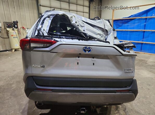 4T3D6RFV3MU020932 2021 TOYOTA RAV4 Серый Вид сзади