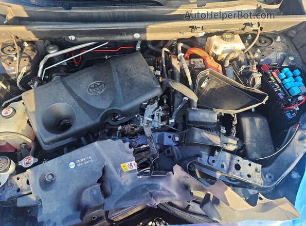 4T3D6RFV5MU037120 2021 TOYOTA RAV4 Blue Вид задньої частини салону