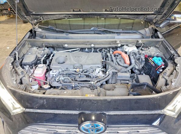 4T3DWRFV2LU008401 2020 TOYOTA RAV4 Black Սալոնի հետևի տեսք