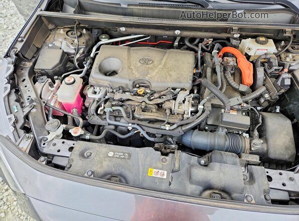 4T3E6RFV3MU040831 2021 TOYOTA RAV4 Серый Вид задней части салона