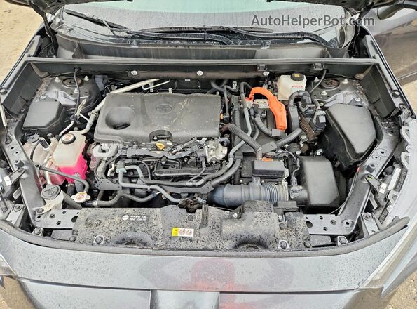 4T3E6RFV9PU122406 2023 TOYOTA RAV4 Gray Շարժիչի բաժամունքի տեսք
