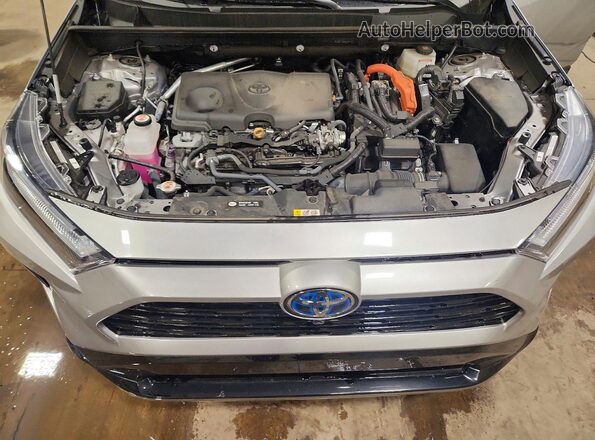 4T3E6RFV9PU126164 2023 TOYOTA RAV4 Серебряный Вид задней части салона