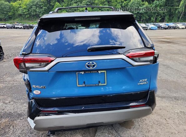 4T3E6RFV9RU163623 2024 TOYOTA RAV4 Blue Widok z tyłu