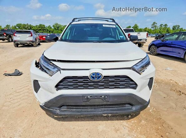 4T3LWRFV0PU106067 2023 TOYOTA RAV4 White Widok z przodu