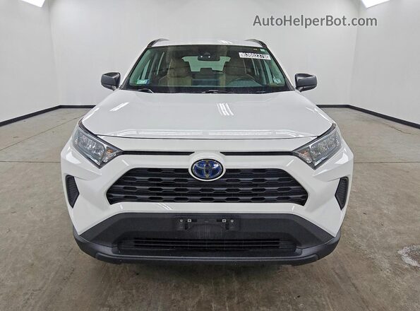 4T3LWRFV1MU023016 2021 TOYOTA RAV4 White Вид спереду