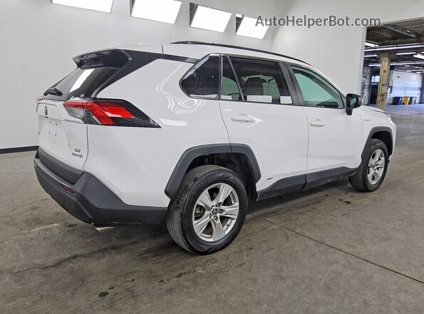 4T3LWRFV1MU023016 2021 TOYOTA RAV4 White Задня права чверть