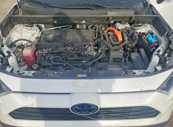 4T3LWRFV3MU036317 2021 TOYOTA RAV4 Белый Вид задней части салона